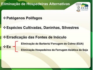 Eliminação de Hospedeiras Alternativas
Patógenos Polífagos
Espécies Cultivadas, Daninhas, Silvestres
Erradicação das Fontes de Inóculo
Ex
Eliminação do Barberis/ Ferrugem do Colmo (EUA)
Eliminação Hospedeiros da Ferrugem Asiática da Soja
 