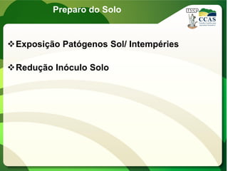 Preparo do Solo
Exposição Patógenos Sol/ Intempéries
Redução Inóculo Solo
 