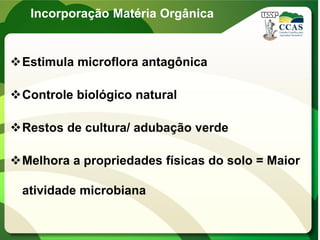 Incorporação Matéria Orgânica
Estimula microflora antagônica
Controle biológico natural
Restos de cultura/ adubação verde
Melhora a propriedades físicas do solo = Maior
atividade microbiana
 