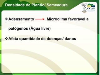 Densidade de Plantio/ Semeadura
Adensamento Microclima favorável a
patógenos (Água livre)
Afeta quantidade de doenças/ danos
 