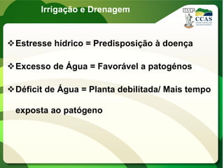 Irrigação e Drenagem
Estresse hídrico = Predisposição à doença
Excesso de Água = Favorável a patogénos
Déficit de Água = Planta debilitada/ Mais tempo
exposta ao patógeno
 