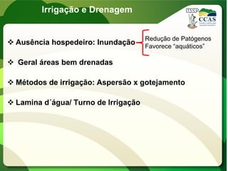Irrigação e Drenagem
 Ausência hospedeiro: Inundação
 Geral áreas bem drenadas
 Métodos de irrigação: Aspersão x gotejamento
 Lamina d´água/ Turno de Irrigação
Redução de Patógenos
Favorece “aquáticos”
 