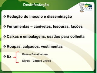 Desinfestação
Redução do inóculo e disseminação
Ferramentas – canivetes, tesouras, facões
Caixas e embalagens, usados para colheita
Roupas, calçados, vestimentas
Ex
Cana – Escaldadura
Citros – Cancro Cítrico
 