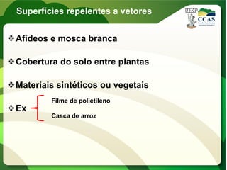 Superfícies repelentes a vetores
Afídeos e mosca branca
Cobertura do solo entre plantas
Materiais sintéticos ou vegetais
Ex
Filme de polietileno
Casca de arroz
 