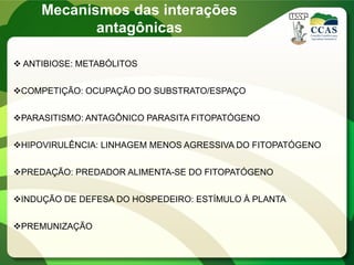 Mecanismos das interações
antagônicas
 ANTIBIOSE: METABÓLITOS
COMPETIÇÃO: OCUPAÇÃO DO SUBSTRATO/ESPAÇO
PARASITISMO: ANTAGÔNICO PARASITA FITOPATÓGENO
HIPOVIRULÊNCIA: LINHAGEM MENOS AGRESSIVA DO FITOPATÓGENO
PREDAÇÃO: PREDADOR ALIMENTA-SE DO FITOPATÓGENO
INDUÇÃO DE DEFESA DO HOSPEDEIRO: ESTÍMULO À PLANTA
PREMUNIZAÇÃO
 