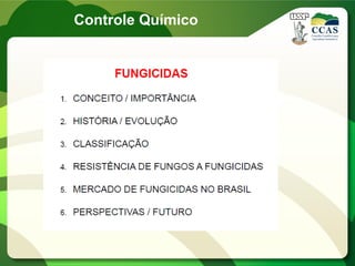Controle Químico
 