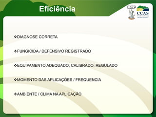 Eficiência
DIAGNOSE CORRETA
FUNGICIDA / DEFENSIVO REGISTRADO
EQUIPAMENTO ADEQUADO, CALIBRADO, REGULADO
MOMENTO DAS APLICAÇÕES / FREQUENCIA
AMBIENTE / CLIMA NA APLICAÇÃO
 
