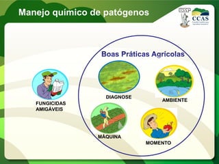 Manejo químico de patógenos
FUNGICIDAS
AMIGÁVEIS
AMBIENTE
DIAGNOSE
MOMENTO
MÁQUINA
 