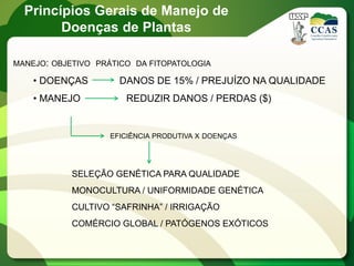 Princípios Gerais de Manejo de
Doenças de Plantas
MANEJO: OBJETIVO PRÁTICO DA FITOPATOLOGIA
• DOENÇAS DANOS DE 15% / PREJUÍZO NA QUALIDADE
• MANEJO REDUZIR DANOS / PERDAS ($)
EFICIÊNCIA PRODUTIVA X DOENÇAS
SELEÇÃO GENÉTICA PARA QUALIDADE
MONOCULTURA / UNIFORMIDADE GENÉTICA
CULTIVO “SAFRINHA” / IRRIGAÇÃO
COMÉRCIO GLOBAL / PATÓGENOS EXÓTICOS
 