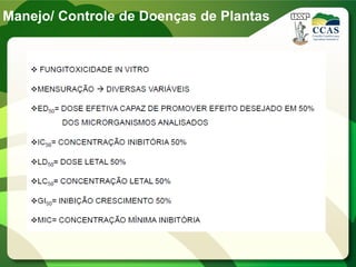 Manejo/ Controle de Doenças de Plantas
 