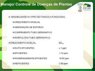 Manejo/ Controle de Doenças de Plantas
 