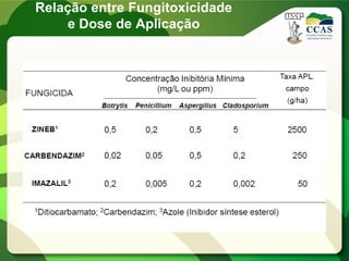Relação entre Fungitoxicidade
e Dose de Aplicação
 