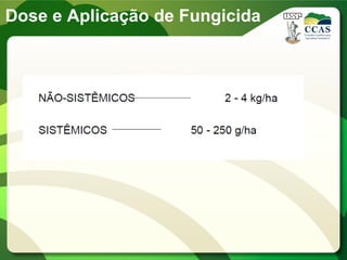 Dose e Aplicação de Fungicida
 
