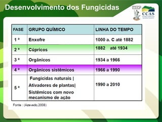 Desenvolvimento dos Fungicidas
 