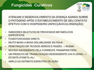 ATENUAM O DESENVOLVIMENTO DA DOENÇA AGINDO SOBRE
O PATÓGENO APÓS O ESTABELECIMENTO DE SEU CONTATO
EFETIVO COM O HOSPEDEIRO (INFECÇÃO/COLONIZAÇÃO)
• INIBIDORES SELETIVOS DE PROCESSOS METABÓLICOS
ESPECÍFICOS
• FUNGITOXICIDADE DIRETA
• MUITO BAIXA A BAIXA SOLUBILIDADE EM ÁGUA
• PENETRAÇÃO EM TECIDOS AÉREOS E RAÍZES  XILEMA
• MOVIDO ASCENDENTE PELA CORRENTE TRANSPIRATÓRIA
• UM PRODUTO DE TRANSLOCAÇÃO DESCENDENTE (VIA FLOEMA) 
EFOSITE (FOSETIL-AL)
• AMPLO OU ESTREITO ESPECTRO DE AÇÃO
Fungicidas Curativos
 