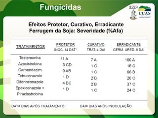 Fungicidas
Efeitos Protetor, Curativo, Erradicante
Ferrugem da Soja: Severidade (%Afa)
 