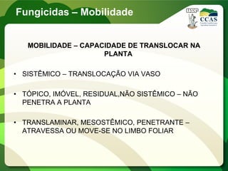 MOBILIDADE – CAPACIDADE DE TRANSLOCAR NA
PLANTA
• SISTÊMICO – TRANSLOCAÇÃO VIA VASO
• TÓPICO, IMÓVEL, RESIDUAL,NÃO SISTÊMICO – NÃO
PENETRA A PLANTA
• TRANSLAMINAR, MESOSTÊMICO, PENETRANTE –
ATRAVESSA OU MOVE-SE NO LIMBO FOLIAR
Fungicidas – Mobilidade
 
