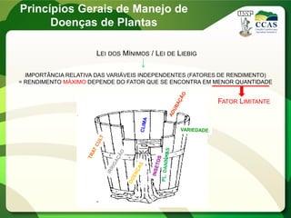 LEI DOS MÍNIMOS / LEI DE LIEBIG
IMPORTÂNCIA RELATIVA DAS VARIÁVEIS INDEPENDENTES (FATORES DE RENDIMENTO)
= RENDIMENTO MÁXIMO DEPENDE DO FATOR QUE SE ENCONTRA EM MENOR QUANTIDADE
FATOR LIMITANTE
Princípios Gerais de Manejo de
Doenças de Plantas
 
