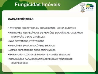 Fungicidas Imóveis
 
