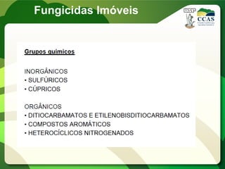 Fungicidas Imóveis
 