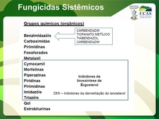 Fungicidas Sistêmicos
 