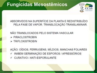 Fungicidas Mesostêmicos
 