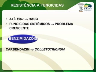 • ATÉ 1967  RARO
• FUNGICIDAS SISTÊMICOS  PROBLEMA
CRESCENTE
BENZIMIDAZÓIS
CARBENDAZIM  COLLETOTRICHUM
RESISTÊNCIA A FUNGICIDAS
 