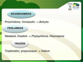 DICARBOXIMIDAS
Procimidone, Vinclozolin  Botrytis
FENILAMIDAS
Metalaxil, Oxadixil  Phytophthora, Plasmopora
TRIAZÓIS
Triadimefon, propiconazol  Oidium
 