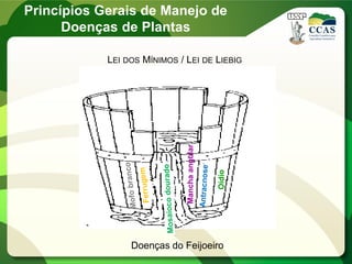 LEI DOS MÍNIMOS / LEI DE LIEBIG
Manchaangular
Oídio
Doenças do Feijoeiro
Princípios Gerais de Manejo de
Doenças de Plantas
 