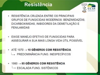 Resistência
 