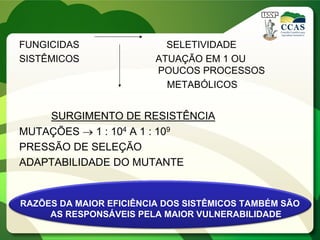 FUNGICIDAS SELETIVIDADE
SISTÊMICOS ATUAÇÃO EM 1 OU
POUCOS PROCESSOS
METABÓLICOS
SURGIMENTO DE RESISTÊNCIA
MUTAÇÕES  1 : 104 A 1 : 109
PRESSÃO DE SELEÇÃO
ADAPTABILIDADE DO MUTANTE
RAZÕES DA MAIOR EFICIÊNCIA DOS SISTÊMICOS TAMBÉM SÃO
AS RESPONSÁVEIS PELA MAIOR VULNERABILIDADE
 