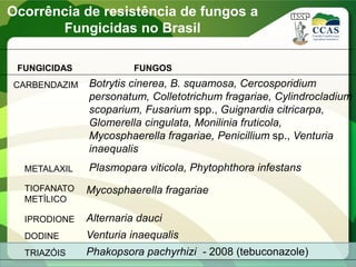 FUNGICIDAS FUNGOS
CARBENDAZIM
METALAXIL
Botrytis cinerea, B. squamosa, Cercosporidium
personatum, Colletotrichum fragariae, Cylindrocladium
scoparium, Fusarium spp., Guignardia citricarpa,
Glomerella cingulata, Monilinia fruticola,
Mycosphaerella fragariae, Penicillium sp., Venturia
inaequalis
Plasmopara viticola, Phytophthora infestans
TIOFANATO
METÍLICO
IPRODIONE
DODINE
Mycosphaerella fragariae
Alternaria dauci
Venturia inaequalis
TRIAZÓIS Phakopsora pachyrhizi - 2008 (tebuconazole)
Ocorrência de resistência de fungos a
Fungicidas no Brasil
 