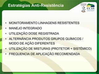• MONITORAMENTO LINHAGENS RESISTENTES
• MANEJO INTEGRADO
• UTILIZAÇÃO DOSE REGISTRADA
• ALTERNÂNCIA PRODUTOS GRUPOS QUÍMICOS /
MODO DE AÇÃO DIFERENTES
• UTILIZAÇÃO DE MISTURAS (PROTETOR + SISTÊMICO)
• FREQUENCIA DE APLICAÇÃO RECOMENDADA
Estratégias Anti-Resistência
 