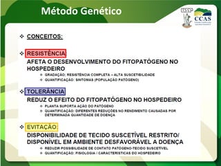 Método Genético
 