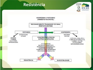 Resistência
 