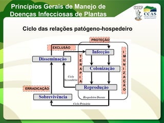 Ciclo das relações patógeno-hospedeiro
EXCLUSÃO
I
M
U
N
I
Z
A
Ç
Ã
O
T
E
R
A
P
I
A
ERRADICAÇÃO
PROTEÇÃO
Princípios Gerais de Manejo de
Doenças Infecciosas de Plantas
 