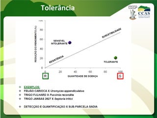Tolerância
 