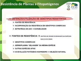 Resistência de Plantas a Fitopatógenos
 