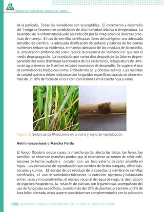 Manejo integrado del cultivo del arroz   libro digital (1)