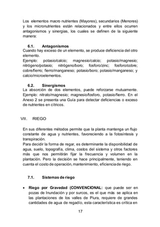 17
Los elementos macro nutrientes (Mayores), secundarios (Menores)
y los micronutrientes están relacionados y entre ellos ocurren
antagonismos y sinergias, los cuales se definen de la siguiente
manera:
6.1. Antagonismos
Cuando hay exceso de un elemento, se produce deficiencia del otro
elemento.
Ejemplo: potasio/calcio; magnesio/calcio; potasio/magnesio;
nitrógeno/potasio; nitrógeno/boro; fosforo/zinc; fosforo/cobre;
cobre/fierro; fierro/manganeso; potasio/boro; potasio/manganeso; y
calcio/microelementos.
6.2. Sinergismos
La absorción de dos elementos, puede reforzarse mutuamente.
Ejemplo: nitrato/magnesio; magnesio/fosforo, potasio/fierro. En el
Anexo 2 se presenta una Guía para detectar deficiencias o exceso
de nutrientes en cítricos.
VII. RIEGO
En sus diferentes métodos permite que la planta mantenga un flujo
constante de agua y nutrientes, favoreciendo a la fotosíntesis y
transpiración.
Para decidir la forma de regar, es determinante la disponibilidad de
agua, suelo, topografía, clima, costos del sistema y otros factores
más que nos permitirán fijar la frecuencia y volumen en la
plantación. Pero la decisión se hace principalmente, teniendo en
cuenta el costo de operación, mantenimiento, eficienciade riego.
7.1. Sistemas de riego
 Riego por Gravedad (CONVENCIONAL: que puede ser en
pozas de Inundación y por surcos, es el que más se aplica en
las plantaciones de los valles de Piura, requiere de grandes
cantidades de agua de regadío, esta característica es crítica en
 