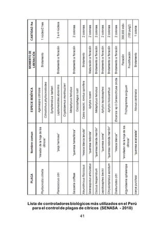 41
Lista de controladoresbiológicos más utilizados en el Perú
para el control de plagas de cítricos (SENASA - 2010)
 