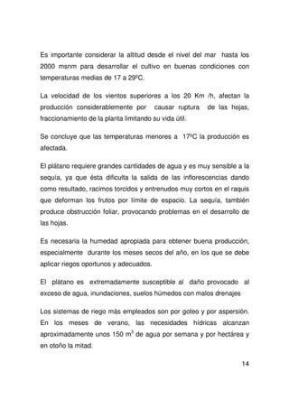 14
Es importante considerar la altitud desde el nivel del mar hasta los
2000 msnm para desarrollar el cultivo en buenas condiciones con
temperaturas medias de 17 a 29ºC.
La velocidad de los vientos superiores a los 20 Km /h, afectan la
producción considerablemente por causar ruptura de las hojas,
fraccionamiento de la planta limitando su vida útil.
Se concluye que las temperaturas menores a 17ºC la producción es
afectada.
El plátano requiere grandes cantidades de agua y es muy sensible a la
sequía, ya que ésta dificulta la salida de las inflorescencias dando
como resultado, racimos torcidos y entrenudos muy cortos en el raquis
que deforman los frutos por límite de espacio. La sequía, también
produce obstrucción foliar, provocando problemas en el desarrollo de
las hojas.
Es necesaria la humedad apropiada para obtener buena producción,
especialmente durante los meses secos del año, en los que se debe
aplicar riegos oportunos y adecuados.
El plátano es extremadamente susceptible al daño provocado al
exceso de agua, inundaciones, suelos húmedos con malos drenajes
Los sistemas de riego más empleados son por goteo y por aspersión.
En los meses de verano, las necesidades hídricas alcanzan
aproximadamente unos 150 m3
de agua por semana y por hectárea y
en otoño la mitad.
 