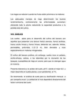 15
Los riegos se reducen cuando los frutos están próximos a la madurez.
Los adecuados manejos de riego determinarán los buenos
rendimientos/ha, contrariamente las enfermedades aumentan;
afectando toda la planta reduciendo la capacidad productiva o la
pérdida total del cultivo.
Los suelos aptos para el desarrollo del cultivo del banano son
aquellos que presentan una textura franco arenosa, franco arcillosa,
franco arcillo limosa y franco limosa, debiendo ser, además, fértiles,
permeables, profundos (1,2-1,5 m), bien drenados y ricos
especialmente en materias nitrogenadas.
El cultivo del banano prefiere, sin embargo, suelos ricos en potasio,
arcillo-silíceos, calizos, o los obtenidos por la roturación de los
bosques, susceptibles de riego en verano, pero que no retengan agua
en invierno.
Presenta tolerancia a la acidez del suelo, pH 5 siendo el mejor 6,5 y
mejor desarrollo en suelos planos, o con pendientes al 1%.
Se recomienda el análisis de suelo para su dosificación mensual o
por campaña anual. La calidad de la fruta dependerá directamente del
factor nutricional del suelo.
 