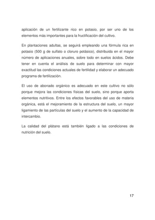 17
aplicación de un fertilizante rico en potasio, por ser uno de los
elementos más importantes para la fructificación del cultivo.
En plantaciones adultas, se seguirá empleando una fórmula rica en
potasio (500 g de sulfato o cloruro potásico), distribuida en el mayor
número de aplicaciones anuales, sobre todo en suelos ácidos. Debe
tener en cuenta el análisis de suelo para determinar con mayor
exactitud las condiciones actuales de fertilidad y elaborar un adecuado
programa de fertilización.
El uso de abonado orgánico es adecuado en este cultivo no sólo
porque mejora las condiciones físicas del suelo, sino porque aporta
elementos nutritivos. Entre los efectos favorables del uso de materia
orgánica, está el mejoramiento de la estructura del suelo, un mayor
ligamiento de las partículas del suelo y el aumento de la capacidad de
intercambio.
La calidad del plátano está también ligado a las condiciones de
nutrición del suelo.
 