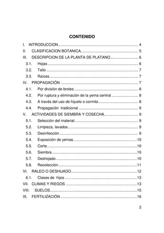 2
CONTENIDO
I. INTRODUCCION........................................................................... 4
II. CLASIFICACION BOTANICA...................................................... 5
III. DESCRIPCION DE LA PLANTA DE PLATANO.......................... 6
3.1. Hojas ..................................................................................... 6
3.2. Tallo ...................................................................................... 7
3.3. Raíces ................................................................................... 7
IV. PROPAGACIÓN ......................................................................... 7
4.1. Por división de brotes ............................................................ 8
4.2. Por ruptura y eliminación de la yema central ......................... 8
4.3. A través del uso de hijuelo o cormito ..................................... 8
4.4. Propagación tradicional ........................................................ 9
V. ACTIVIDADES DE SIEMBRA Y COSECHA................................ 9
5.1. Selección del material............................................................ 9
5.2. Limpieza, lavados.................................................................. 9
5.3. Desinfección.......................................................................... 9
5.4. Exposición de yemas............................................................10
5.5. Corte.....................................................................................10
5.6. Siembra................................................................................10
5.7. Deshojado ............................................................................10
5.8. Recolección..........................................................................11
VI. RALEO O DESHIJADO..............................................................12
6.1. Clases de hijos ....................................................................13
VII. CLIMAS Y RIEGOS ...................................................................13
VIII. SUELOS..................................................................................15
IX. FERTILIZACIÓN ........................................................................16
 