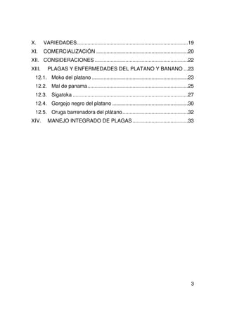 3
X. VARIEDADES............................................................................19
XI. COMERCIALIZACIÓN ...............................................................20
XII. CONSIDERACIONES ................................................................22
XIII. PLAGAS Y ENFERMEDADES DEL PLATANO Y BANANO ...23
12.1. Moko del platano ..................................................................23
12.2. Mal de panama.....................................................................25
12.3. Sigatoka ...............................................................................27
12.4. Gorgojo negro del platano ....................................................30
12.5. Oruga barrenadora del plátano.............................................32
XIV. MANEJO INTEGRADO DE PLAGAS ......................................33
 