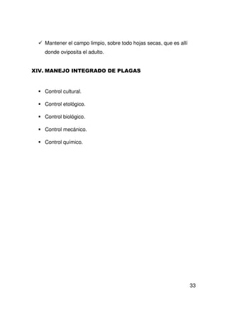 33
Mantener el campo limpio, sobre todo hojas secas, que es allí
donde oviposita el adulto.
Control cultural.
Control etológico.
Control biológico.
Control mecánico.
Control químico.
 