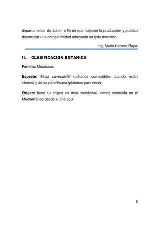 5
departamento de Junín, a fin de que mejoren la producción y puedan
desarrollar una competitividad adecuada en este mercado.
Ing. Mario Herrera Rojas
Familia: Musáceas.
Especie: Musa cavendishii (plátanos comestibles cuando están
crudos) y Musa paradisiaca (plátanos para cocer).
Origen: tiene su origen en Asia meridional, siendo conocida en el
Mediterráneo desde el año 650.
 