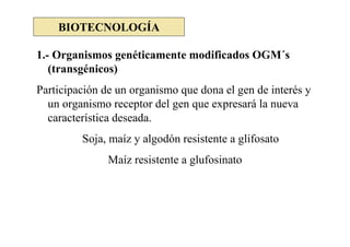 BIOTECNOLOGÍA

1.- Organismos genéticamente modificados OGM´s
   (transgénicos)
Participación de un organismo que dona el gen de interés y
  un organismo receptor del gen que expresará la nueva
  característica deseada.
         Soja, maíz y algodón resistente a glifosato
               Maíz resistente a glufosinato
 