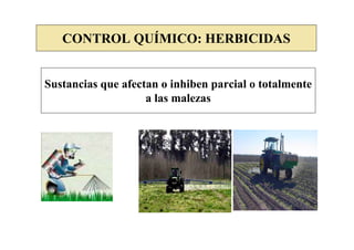 CONTROL QUÍMICO: HERBICIDAS


Sustancias que afectan o inhiben parcial o totalmente
                    a las malezas
 